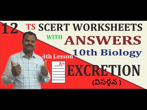 Scert ts worksheets with answers  telugu10th biology 4th lesson excretion total 12 worksheets