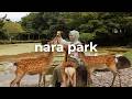 Nara'da Geyiklerle Bir Gün | Japonya Gezisi Part 4