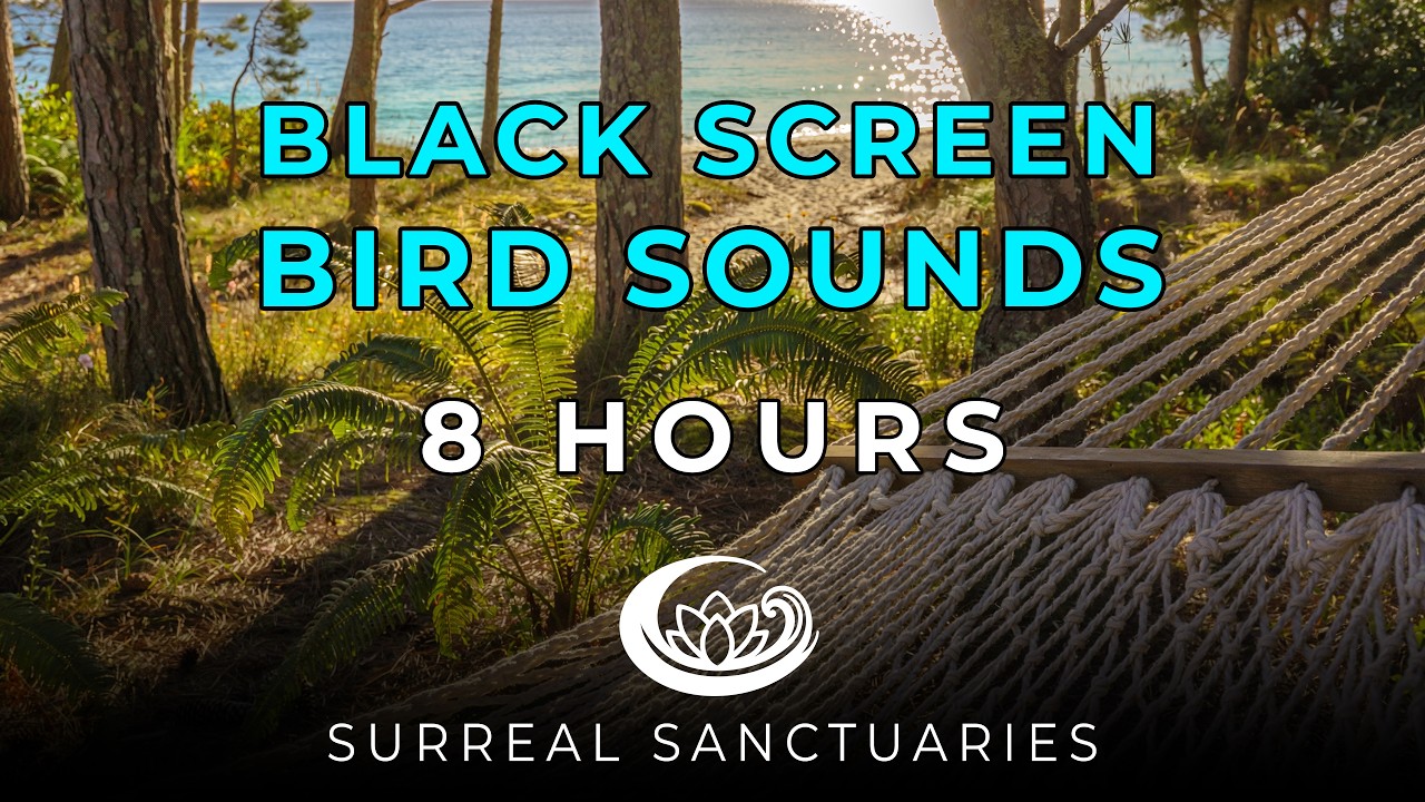 Black Screen Ambient Bird Sounds | 8 Hours of Pure Nature for Meditation, Sleep, Focus & Ambience