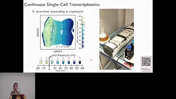 Dynamic Gene Regulatory Network Inference with... - Maggie Beheler-Amass - RegSys - ISMB 2024