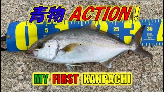 「ショアジギング」初カンパチ My first kanpachi