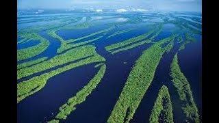 Амазонка:Плавающий лес National Geographic360p