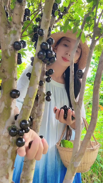 Enjoy beautiful nature with rural life # 449