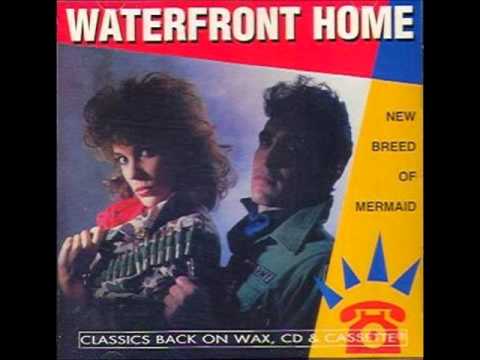 Waterfront Home (+) Take A Chance On Me