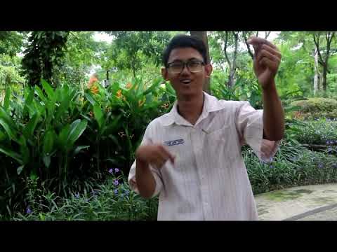 20 SHS 2019 X-10 Hafidz Addin Yusup | All We Know - The Chainsmoker (Cover)