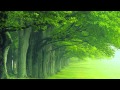 Yann Tiersen - Summer 78 [HD]