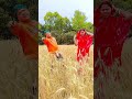 गेहूं काटे के नईखे लुईर बलम मजदूर लगा द ना🌹#viralreelsシ #foryouシ #nonfollower #socialmedia