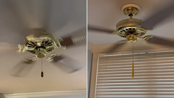 Litex Ellington deluxe and king of fans festival combo start ups