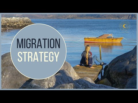How to Move to Norway | Part 3 | Strategy