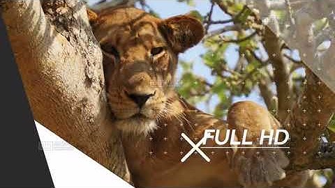 Glitch Slideshow After Effects