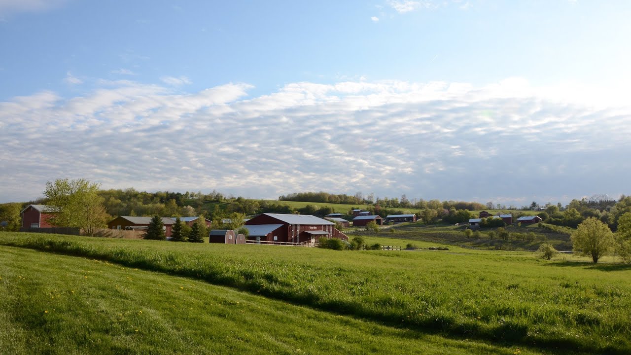 Spring at Farm Sanctuary YouTube