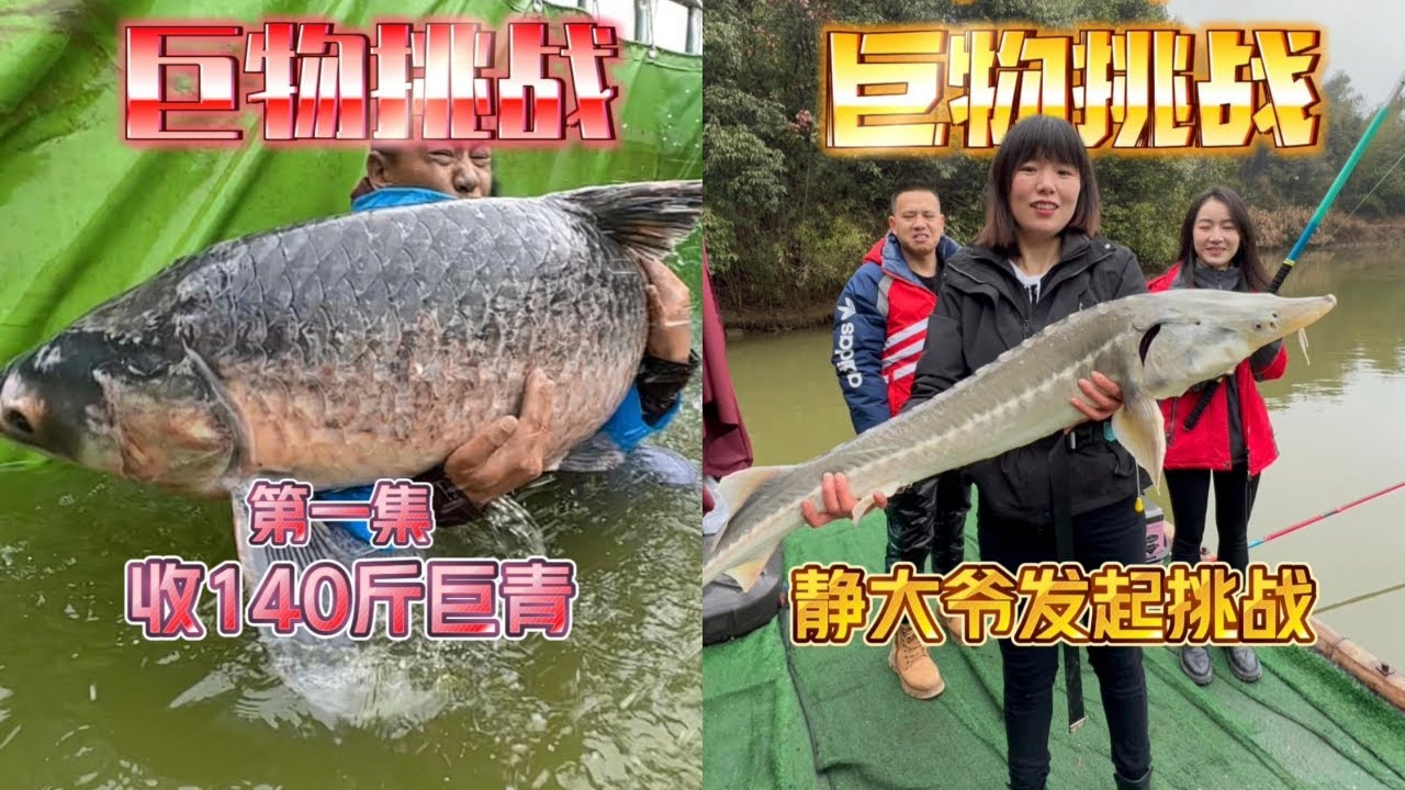 哪里有大鱼，哪里就有老麻雀！又出发了！