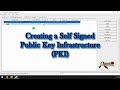 Creating a selfsigned public key infrastructure pki for certificate creation ssl openvpn
