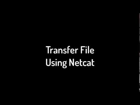 A Comprehensive Guide to Netcat