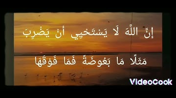 سورة البقرة الآيات من ٢٥ الى ٢٩ .. الشيخ ماهر المعيقلي 💙