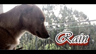 Mark Ow - Rain (Official Music Video)