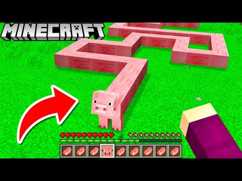 Spawne NIEMALS diese verfluchten Monster in Minecraft!