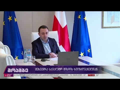 შეხვედრა სავალუტო მისიის ხელმძღვანელთან