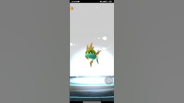 #shiny carvanha evolve #shiny sharpedo in Pokemon go