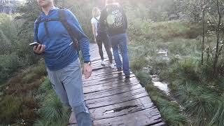 2019081414 preikestolen