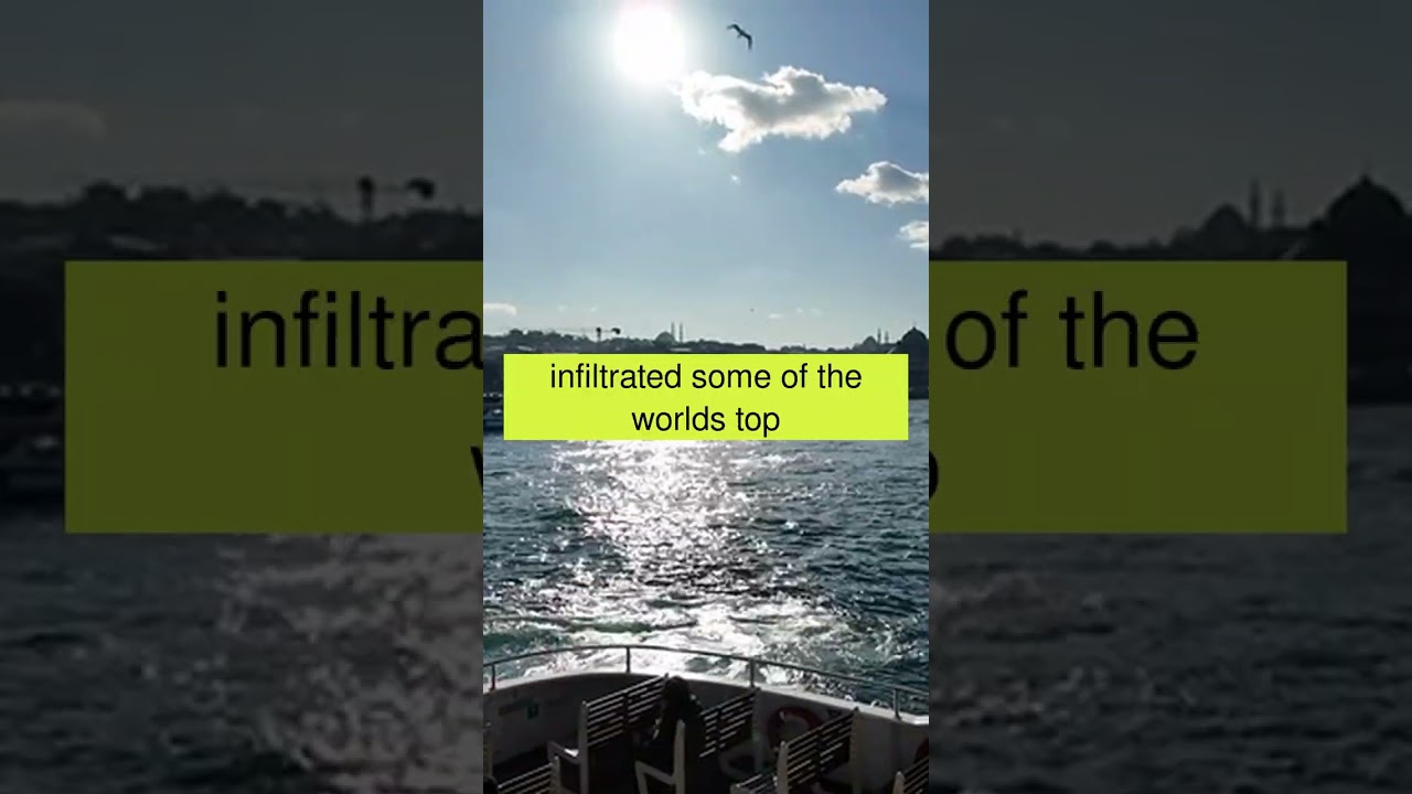 Kittens Global Command 