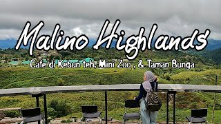 Malino Highlands, Sulawesi Selatan Ada Cafe Dikebun Teh, Mini Zoo Taman Bunga