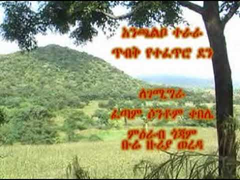 ቪዲዮ: በሳማራ የሚገኘው የፍሩንዘንስኪ ድልድይ ግንባታ፡ ሂደቱ እንዴት እየሄደ ነው?