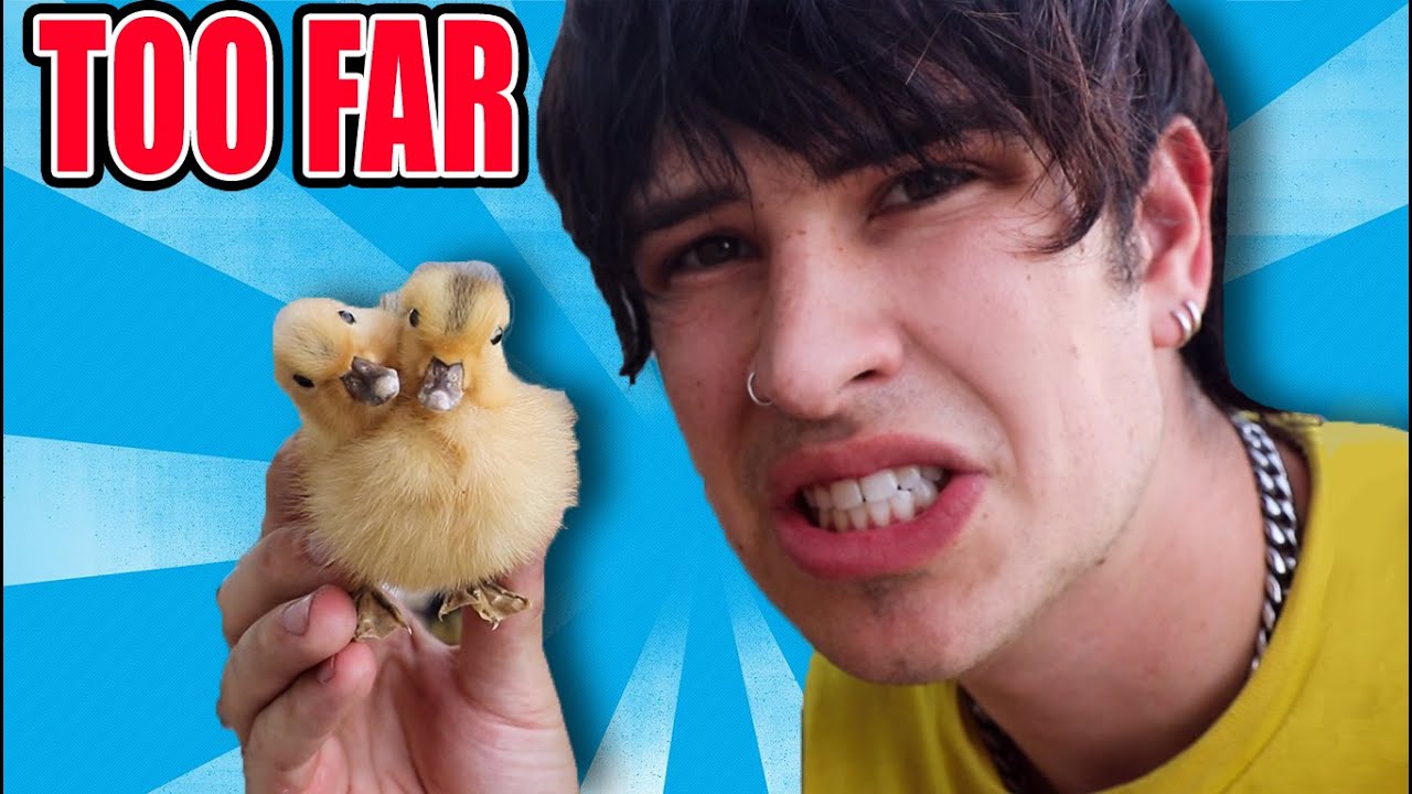 Who Keeps Mailing Me Dead Things? [Disturb Me]