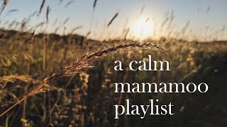 a calm mamamoo playlist 마마무 (spotify link in description)