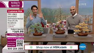 HSN | HSN Today with Tina \& Ty 11.29.2022 - 08 AM