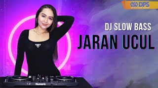 DJ Jaran Ucul || Jaluk Mangan Tah Jaluk Ngombe (DJ Cantik)