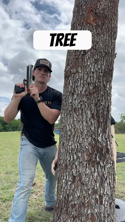 Tree vs 50 Cal Sniper Rifle