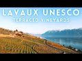 Lavaux Switzerland Drive | Terraced vineyards 4K