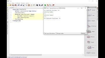 Ciclo Mientras con Pseint