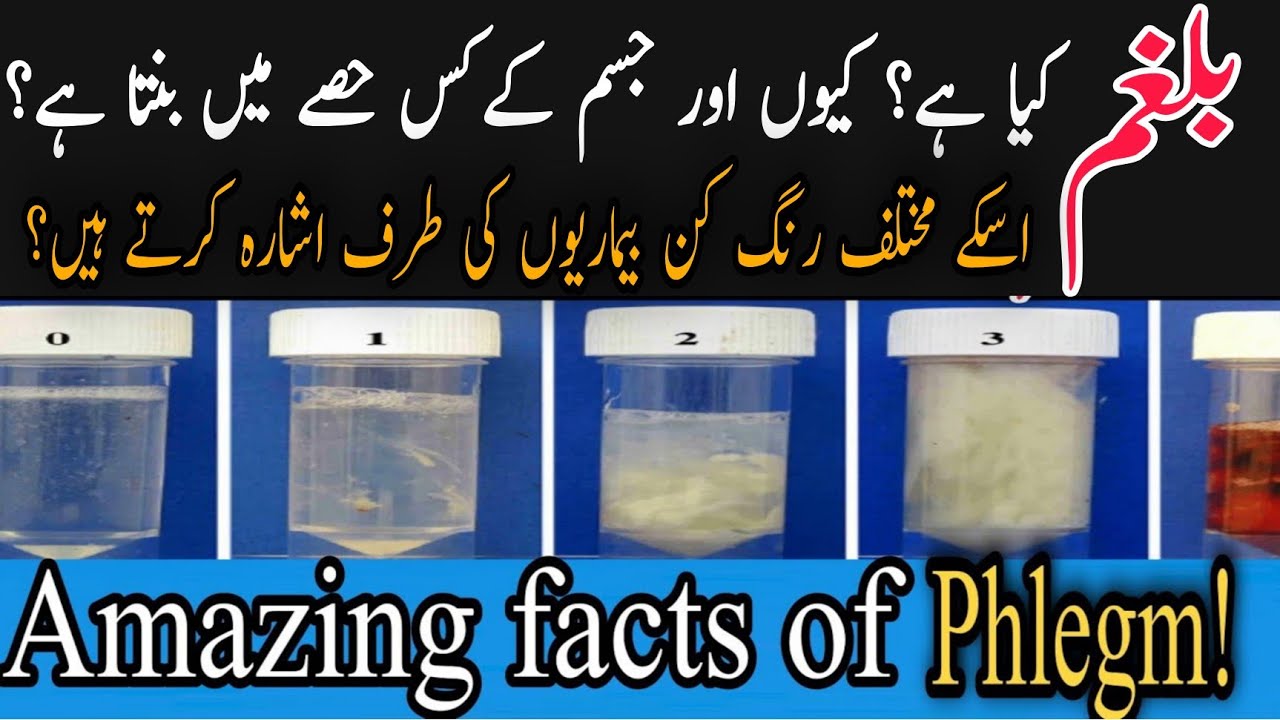 causes-of-phlegm-mucus-phlegm-removal-home-remedies-urdu-hindi