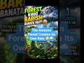 How The Amazon Makes Rain For Itself#facts #science #forest #amazonianforest #amazonia#science
