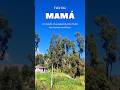 Feliz Día Mamá