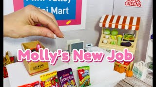 New Job! Molly's Mini Valley Mini Mart Cashier Role-play Episode 1