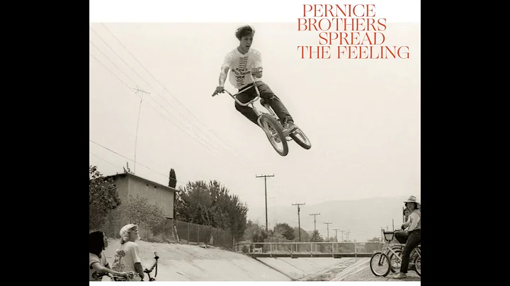 Pernice Brothers The Devil and the Jinn