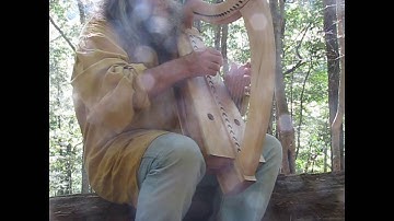 Demo of Worm Harp: Wire Strung Harp