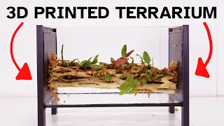 Four Legged Mini Orchid Terrarium