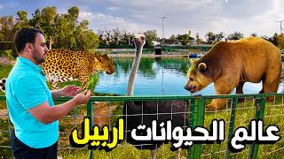 دخلت اكبر حديقة الحيوانات $3 فقط Erbil Zoo