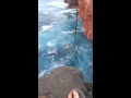 Cliff diving at South Point, crazy swell