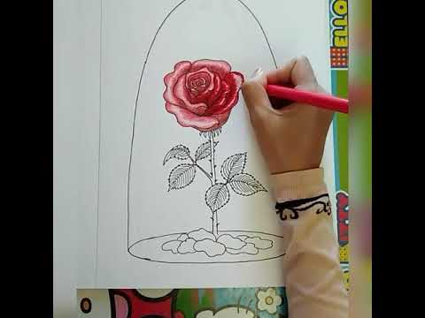 Drawing Rose Beauty And The Beast Youtube