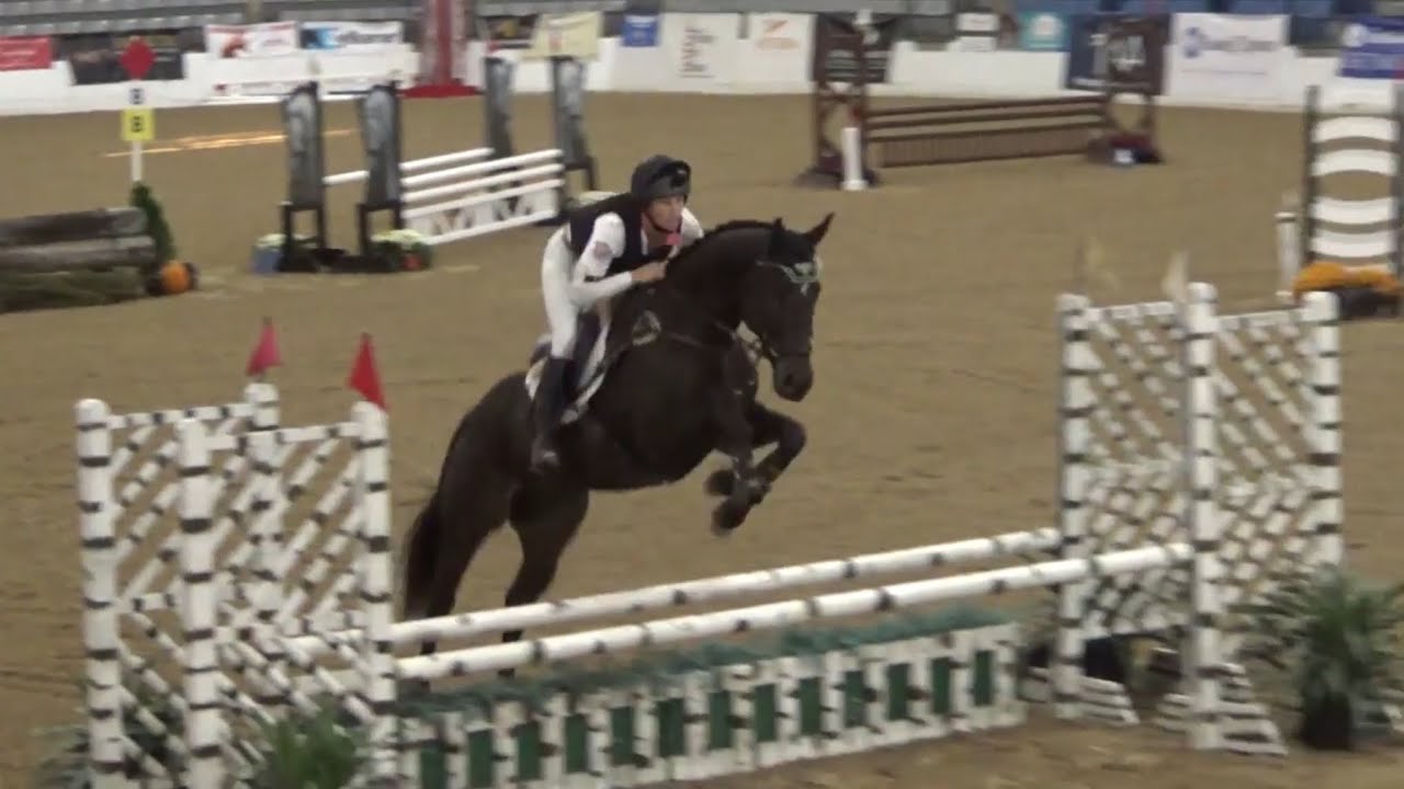 Reloaded in the Eventing Finale at the 2018 RRP Thoroughbred Makeover