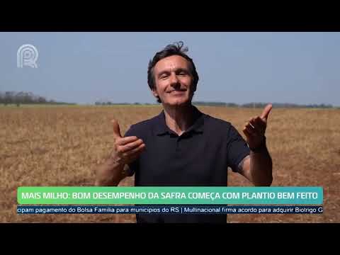 Mais Milho: maior, o projeto irá acompanhar 1ª e 2ª safras do grão no Brasil | Canal Rural