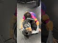 Half butterfly to choi bar#jiujitsu #nogi #10thplanet #10thplanetjiujitsu #bjj