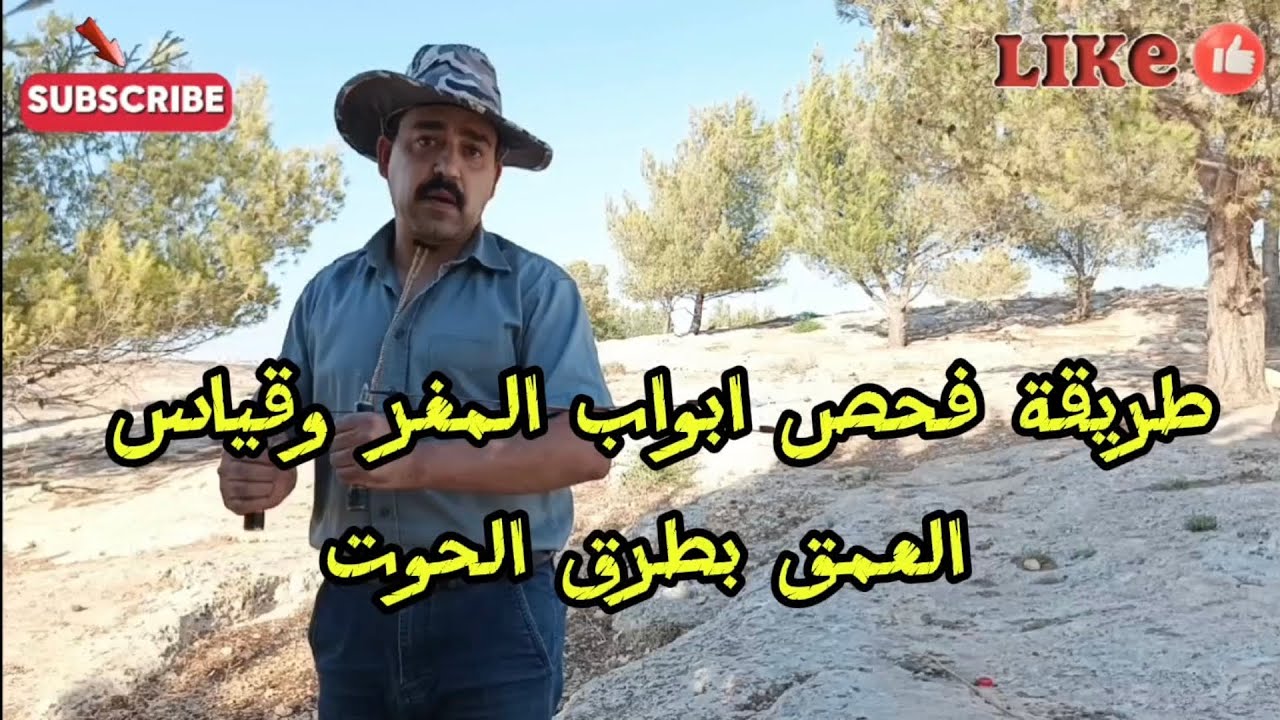 طريقة فحص الفراغ وتحديد البوابهAltın nasıl incelenir