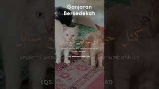 Ganjaran bersedekah