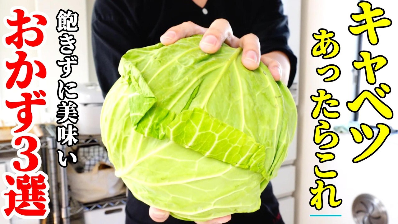 【大量消費！】『キャベツおかず３選！』♢丸っと１玉！飽きずに美味しいおかずレシピ！♢
